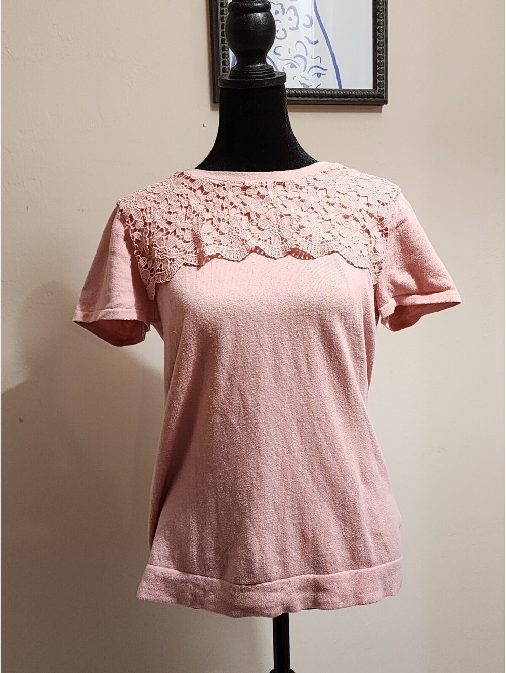 J.Crew Women's Pink Lace Detail Short Sleeve Sweater Top Size S